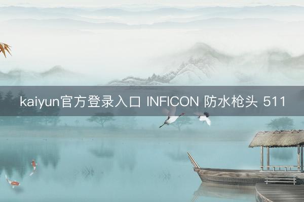 kaiyun官方登录入口 INFICON 防水枪头 511