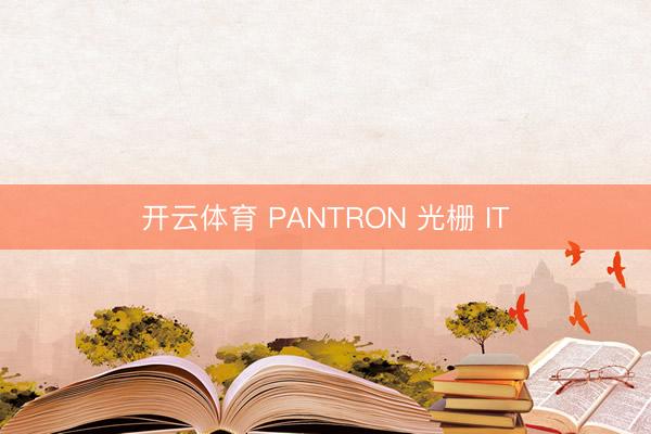 开云体育 PANTRON 光栅 IT