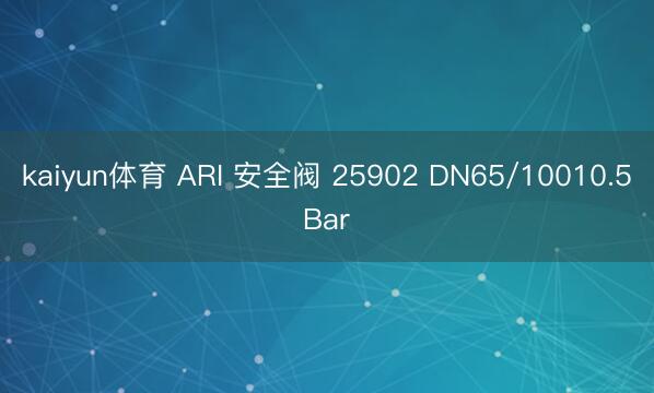 kaiyun体育 ARI 安全阀 25902 DN65/10010.5Bar