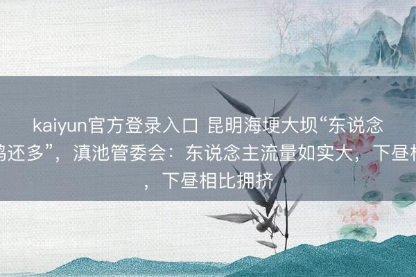 kaiyun官方登录入口 昆明海埂大坝“东说念主比海鸥还多”,滇池管委会:东说念主流量如实大,下昼相比拥挤
