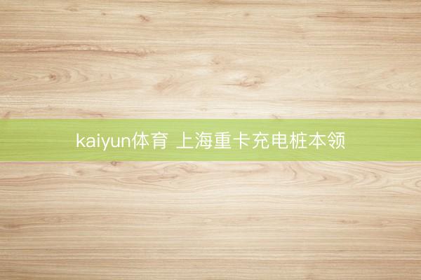 kaiyun体育 上海重卡充电桩本领