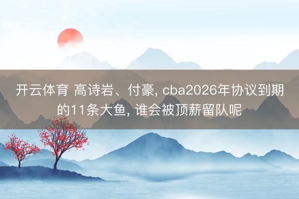 开云体育 高诗岩、付豪， cba2026年协议到期的11条大鱼， 谁会被顶薪留队呢